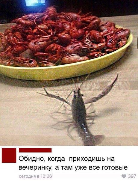 Image Hosted by PiXS.ru