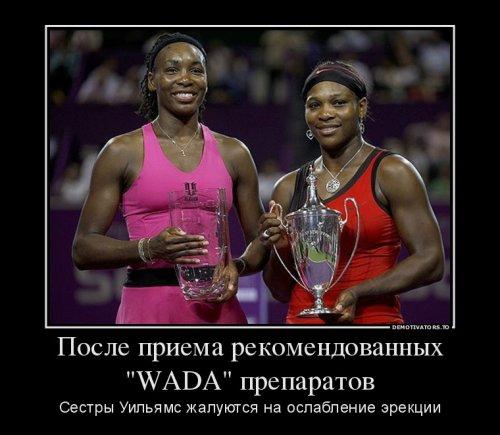 Бесплатный хостинг