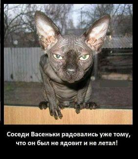 Image Hosted by PiXS.ru
