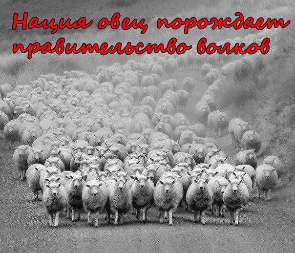 Изображение - savepic.net — сервис хранения изображений