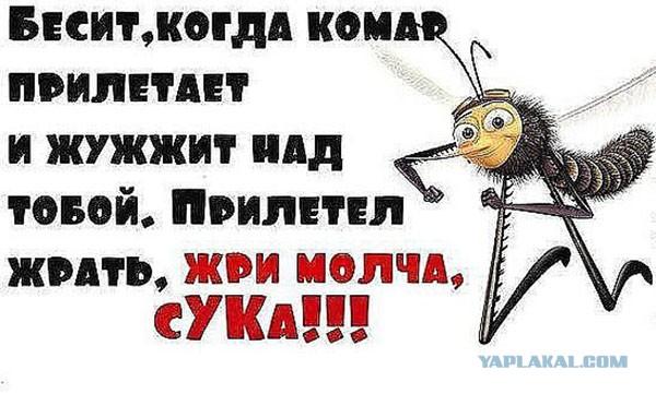 Картинки по запросу бесит
