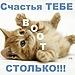Коты смайлики картинки