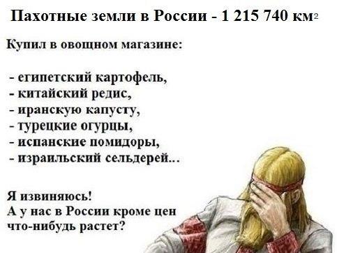 Хостинг картинок с одной кнопкой