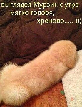 Image Hosted by PiXS.ru