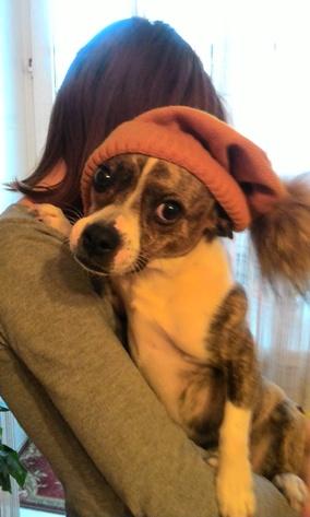 Image Hosted by PiXS.ru