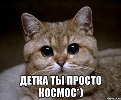 Картинки по запросу детка космос