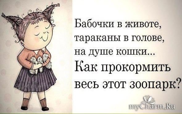 Каждой голове. Бабочки в животе тараканы в голове. Тараканы в голове.