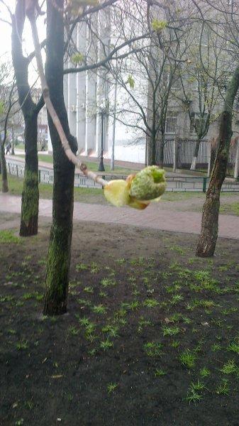 Хостинг бесплатно