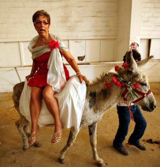 Картинки по запросу тётка на осле