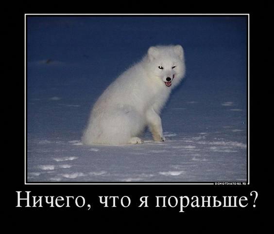 https://newsland.com/static/u/comment_image_from_text/20092016/83214748-767578.jpg