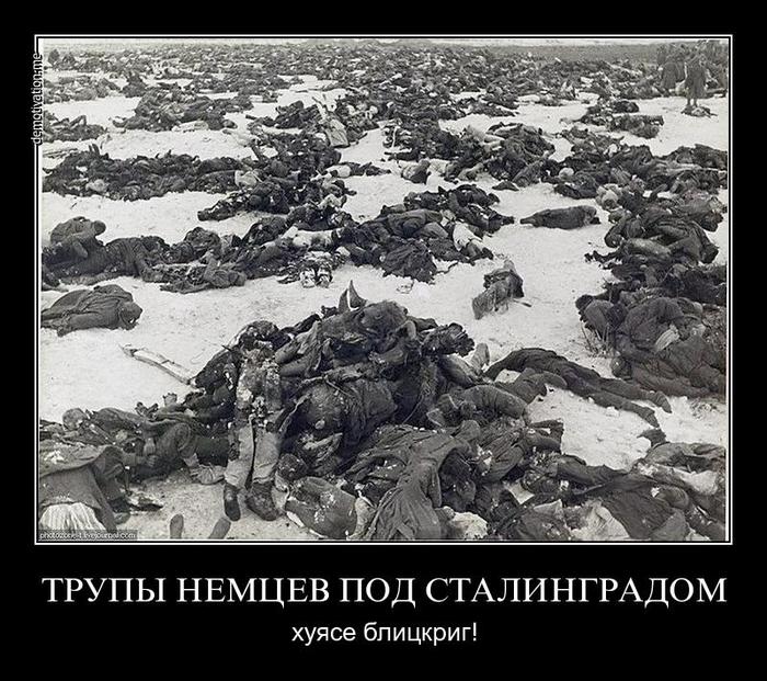 Image Hosted by PiXS.ru