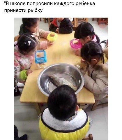 Image Hosted by PiXS.ru