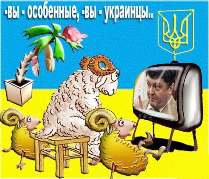 Изображение - savepic.ru — сервис хранения изображений
