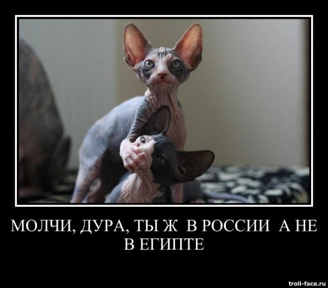 b2d4be2f4d6d3245ed4d9548d0861b2a