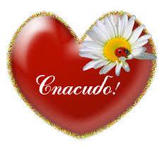 Картинки по запросу спасибо