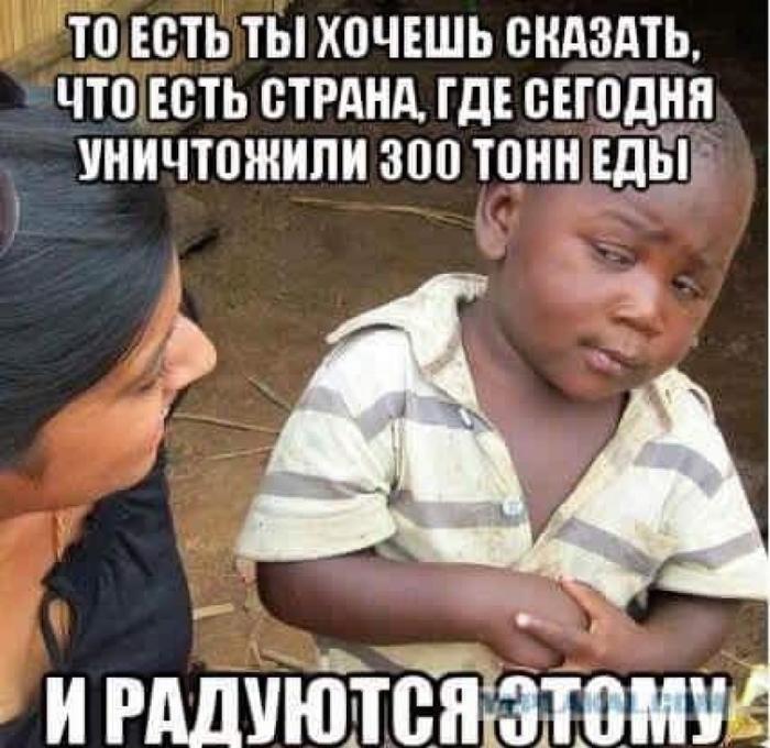 Картинки по запросу демотив Асад правосудие