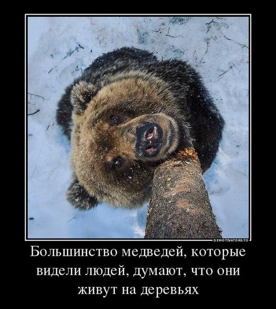 Image Hosted by PiXS.ru