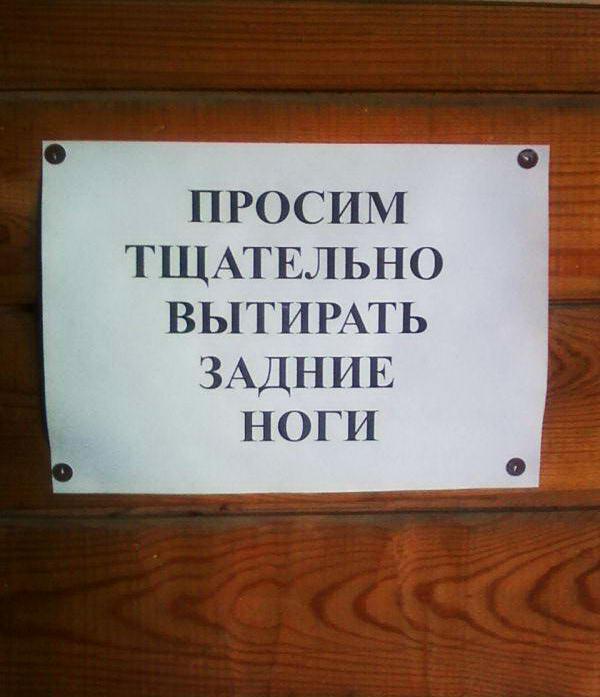 Картинки по запросу смотреть с надеждой прикол