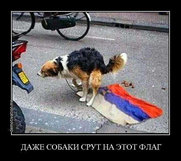 Следком РФ завел уголовное дело на Парасюка - Цензор.НЕТ 6569