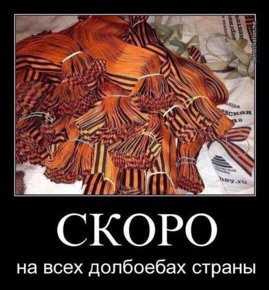 Картинки по запросу колорадская ленточка