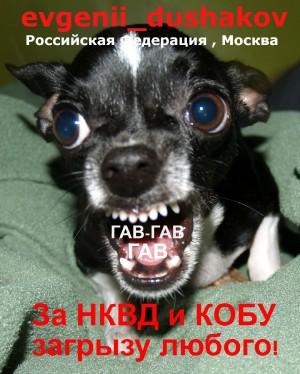 10c7b491d476272da2ad95039c8d9238.jpg