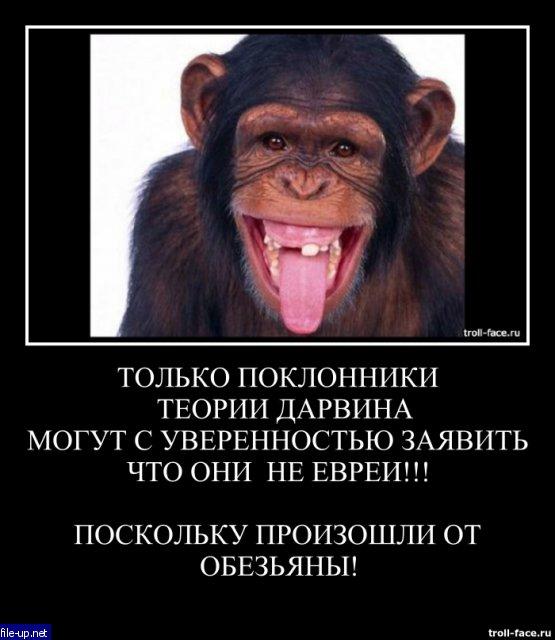 Загрузить фото бесплатно