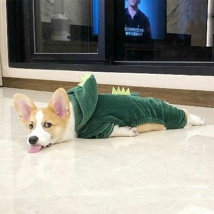 Image Hosted by PiXS.ru