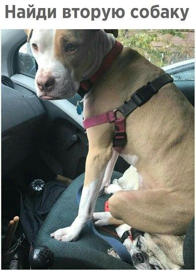 Image Hosted by PiXS.ru