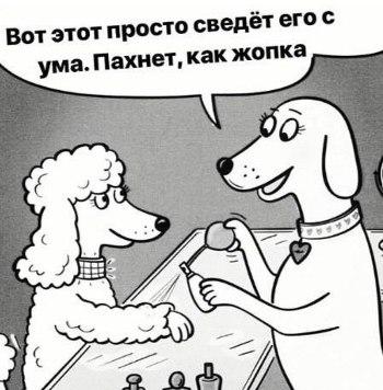 Image Hosted by PiXS.ru