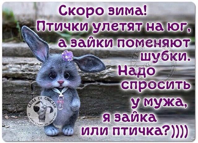Image Hosted by PiXS.ru
