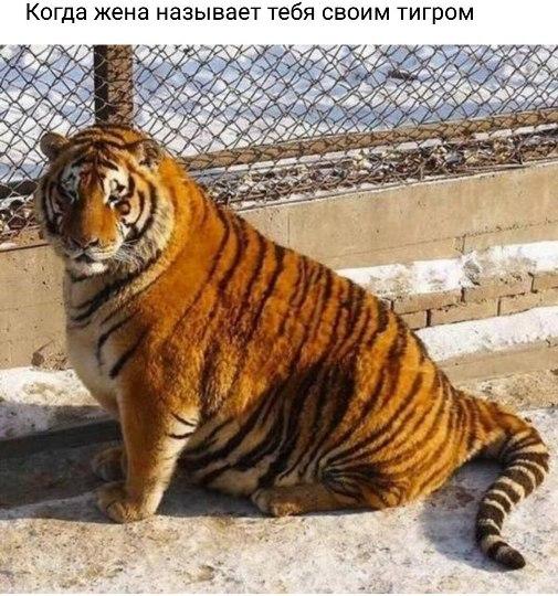 Image Hosted by PiXS.ru