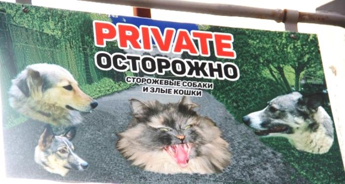 Image Hosted by PiXS.ru