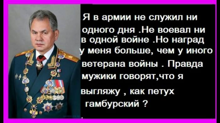 Почему Сергей Шойгу не призывался в армию, но стал министром обороны