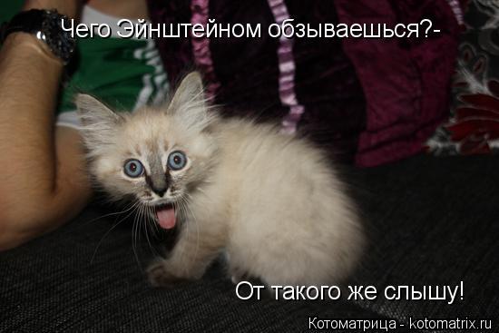 Картинки по запросу от такого слышу