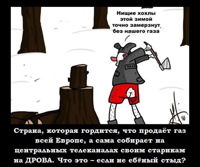 Картинки по запросу россия встает с колен