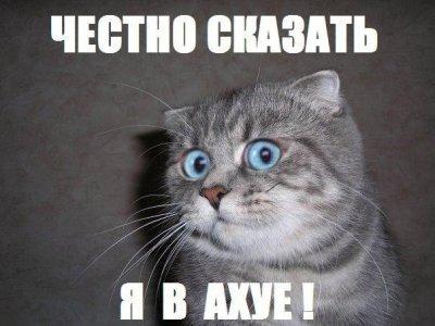 Картинки по запросу пиздец