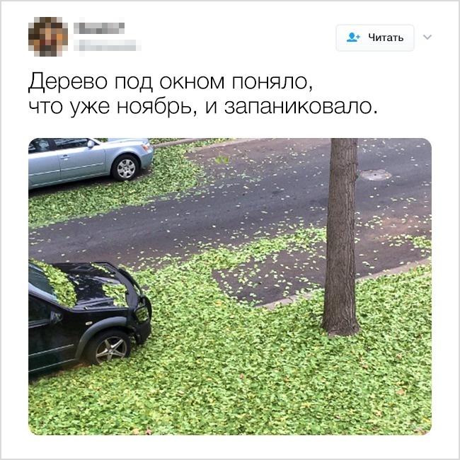 Image Hosted by PiXS.ru