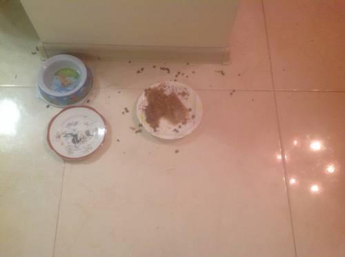 Image Hosted by PiXS.ru