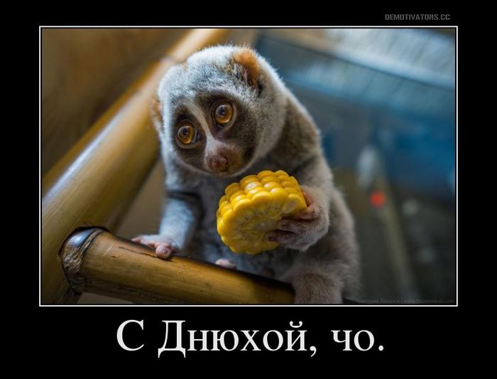 Картинки по запросу с днюхой