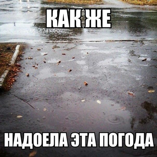 Картинки по запросу погода прикол