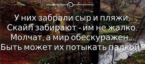 https://newsland.com/static/u/comment_image_from_text/24052016/80791556-282006.jpg