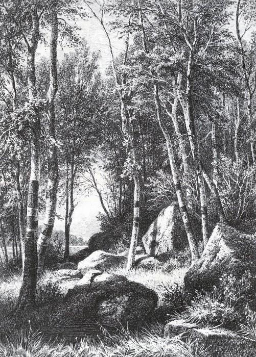 Иван Иванович Шишкин - На краю березовой рощи. Валаам. 1859-1860 44, 4х37