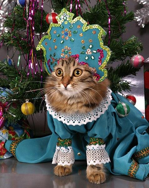 Image Hosted by PiXS.ru