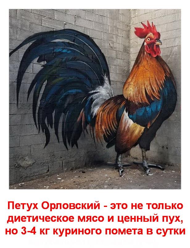 Выложить фотографии