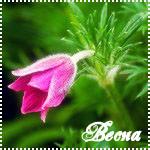 Весна смайлики картинки гифки