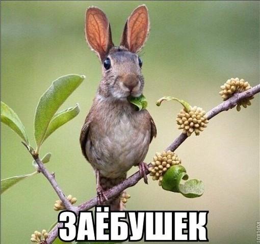 04846262c099f4a8b98cb128155800ab