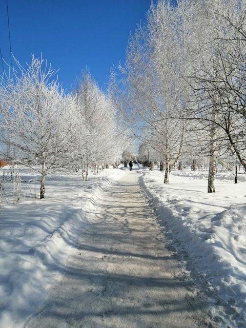 IMG-20210325-094354