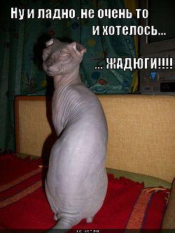 Image Hosted by PiXS.ru