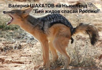648b4c1d5193d9cdb654e49385fd4c0d.jpg