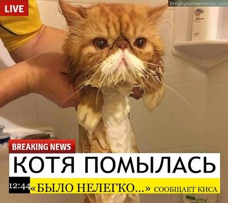 Image Hosted by PiXS.ru
